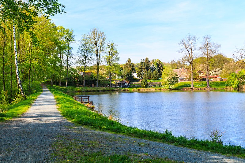 Chrtnický rybník v Přírodní rezervaci Obora Choltice. Autor: Petr1888, licence CC BY-SA 4.0. Zdroj: Wikimedia Commons