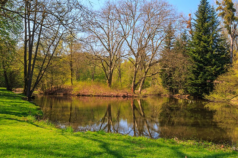 Rybník Zrcadlo v choltickém zámeckém parku. Autor: Petr1888, licence CC BY-SA 4.0. Zdroj: Wikimedia Commons
