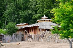 Zvířata z pěti kontinentů v jediném areálu