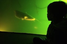 Živá voda odkrývá tajemství života pod vodní hladinou