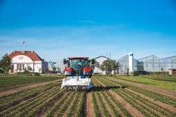 V Ráječku se snoubí chytrá technologie s udržitelným zemědělstvím