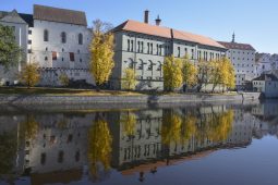 Podívat se na svět z mravenčí perspektivy, hrát si a objevovat – to všechno můžete v písecké Galerii Sladovna