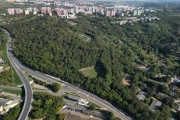 Brno hledá projektanta na obnovu lesoparku Akátky