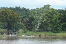 Amazonka – řeka, která nemá na naší planetě konkurenci