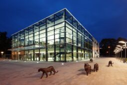 Ohňostroj proběhne, město našlo řešení