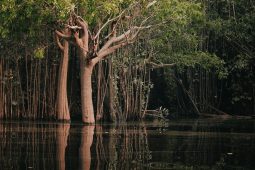 Amazonie má své řeky smrti. Je v nich voda, které se domorodci bojí i dotknout