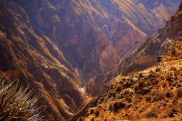 Kaňon Colca: Peru skrývá propast větší než slavný Grand Canyon