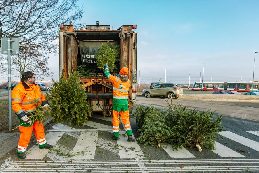 Kam odnést stromečky po svátcích? Ideálně k barevným nádobám na tříděný odpad!