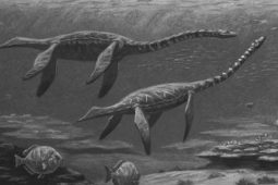 Tvor, který měl vyhynout? Zvláštní svědectví posádky americké ponorky