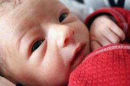 V porodnici Nemocnice Znojmo přišlo v minulém roce na svět 691 dětí. Nejčastějšími jmény byly Jan a Sofie