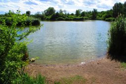 Nejcennější přírodní místo ve městě bude lépe chráněno