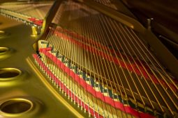 Kulturní centrum zakoupilo špičkový koncertní klavír