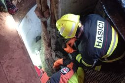 Hasiči zachraňovali býčka, v jímce objevili i uhynulou krávu