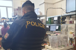 Plzeňští policisté zasahovali: kontrolovali stovky cizinců!