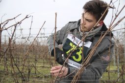 V pátek budou vinaři soutěžit v řezu révy vinné ve Skalce u Ježova