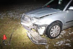 Po dvou litrech piva a bez řidičáku vyrazila do ulic. Jízdu mladé ženy ukončil strom