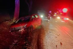 Ranní ledovka potrápila Vysočinu. Nejhůř bylo na Žďársku a Třebíčsku