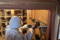 V Brně je druhý holubník, starají se o něj odsouzení