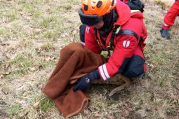 Hasiči v Lednici zachránili srnku z rybníka