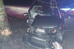 Nehoda u Humpolce. Řidič zdemoloval auto o strom, měl upito