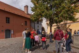 Blíží se mezinárodní den průvodců. Prohlídky máte zdarma
