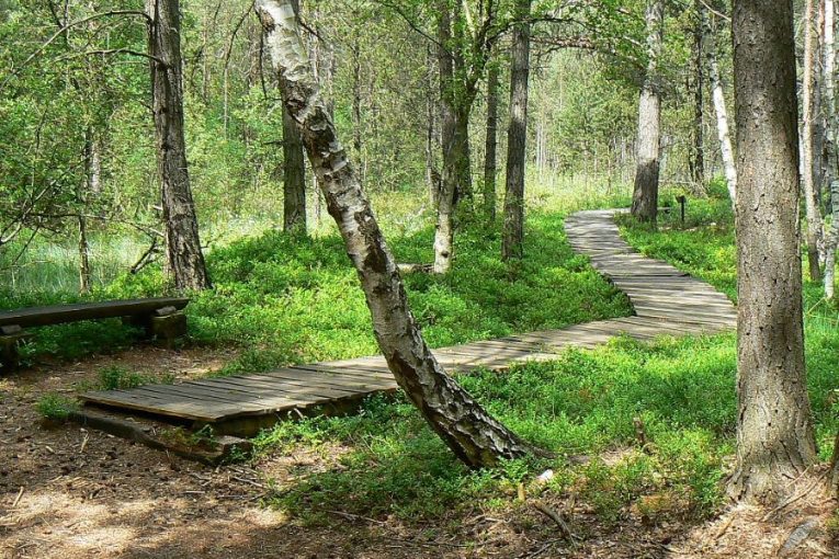 Borkovická blata. Foto: Policie ČR KŘP Jihočeského kraje