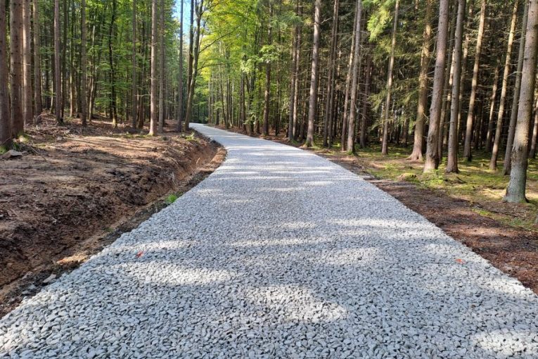 Lesní cesta Sanatorium na Písecku. Foto: Lesy ČR