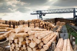 Wood Seeds s.r.o. úspěšně dokončila akvizici dřevařského areálu WOOD EFECT s.r.o. v Chebu