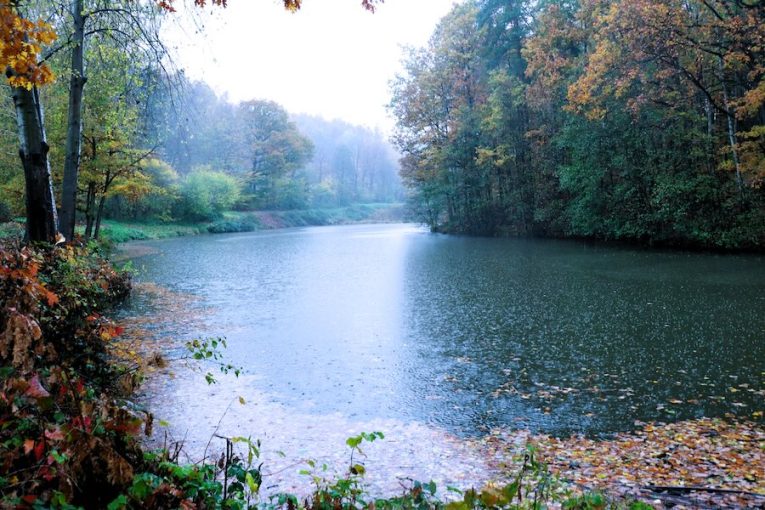 rybník Prostřední Svrčov