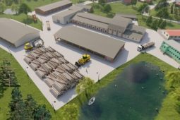 Recenze: Wood Seeds navyšují základní kapitál na 10 milionů Kč a v tomto trendu pokračují